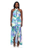 Aurora Ruched Mesh Maxi Dress